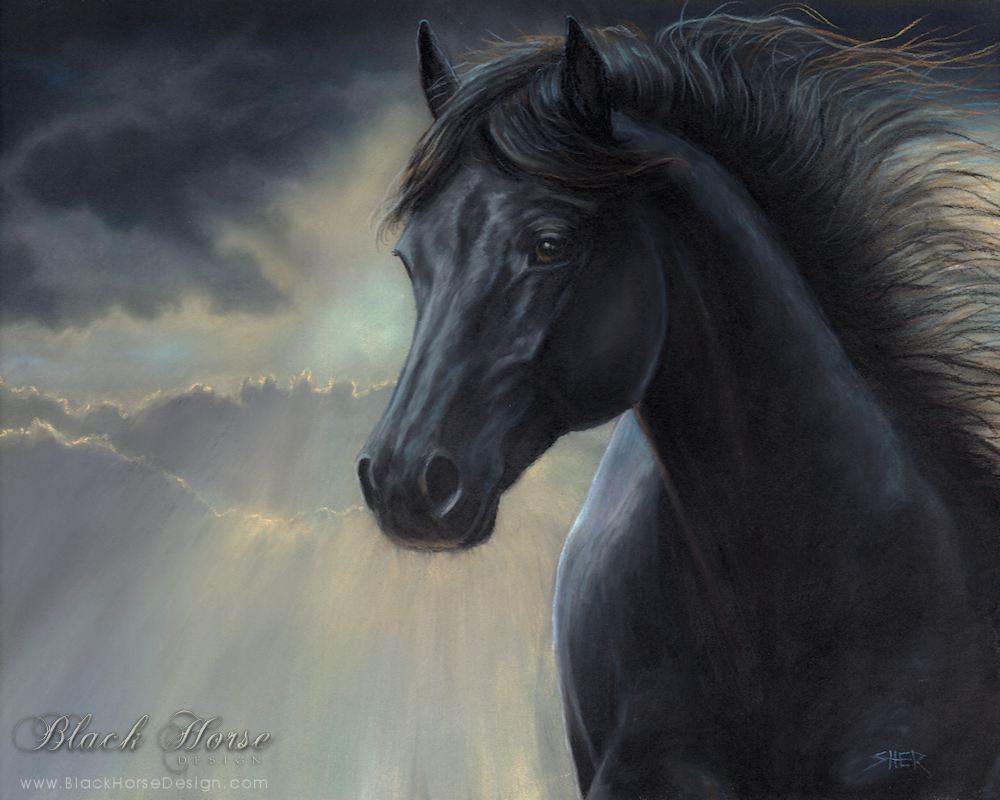 Black Horse Painting by Sheri Gordon