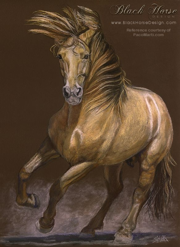 Spanish Spirit - Horse Painting by Sheri Gordon