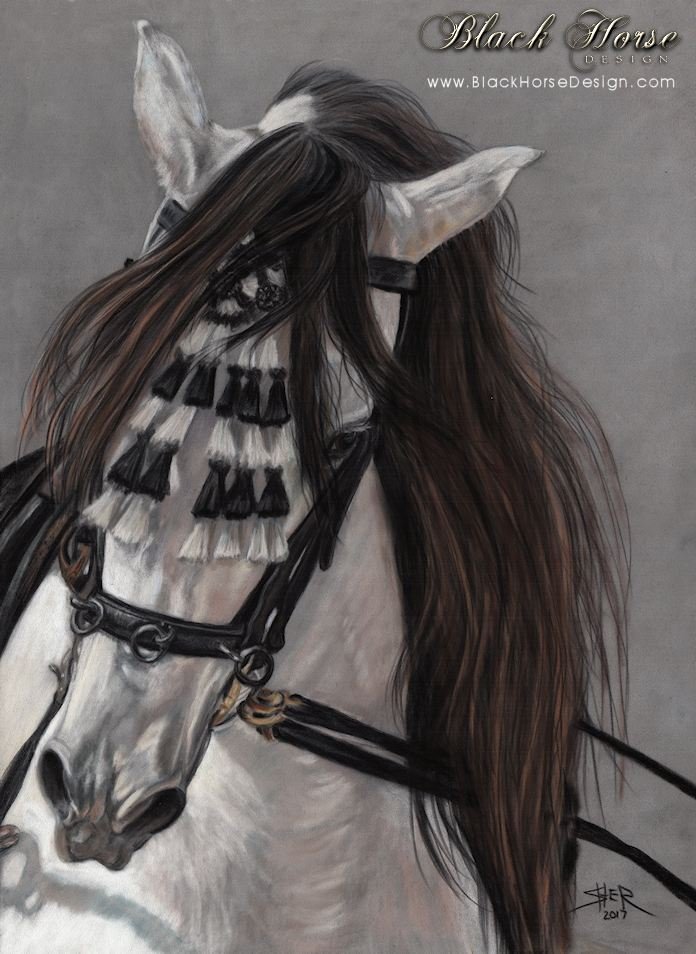 Andalusian Horse Painting by Sheri Gordon