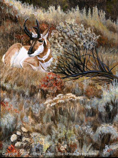 Pronghorn Painting by Sheri Gordon