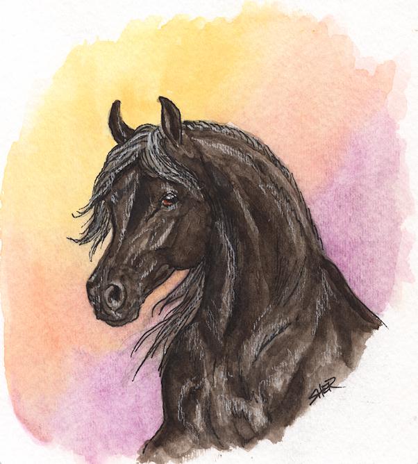 Black Arabian Horse Painting by Sheri Gordon