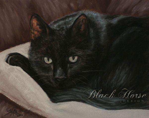 Cat Portrait Painting by Sheri Gordon