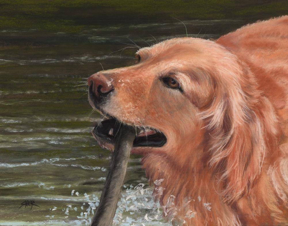 Golden Retriever Painting by Sheri Gordon