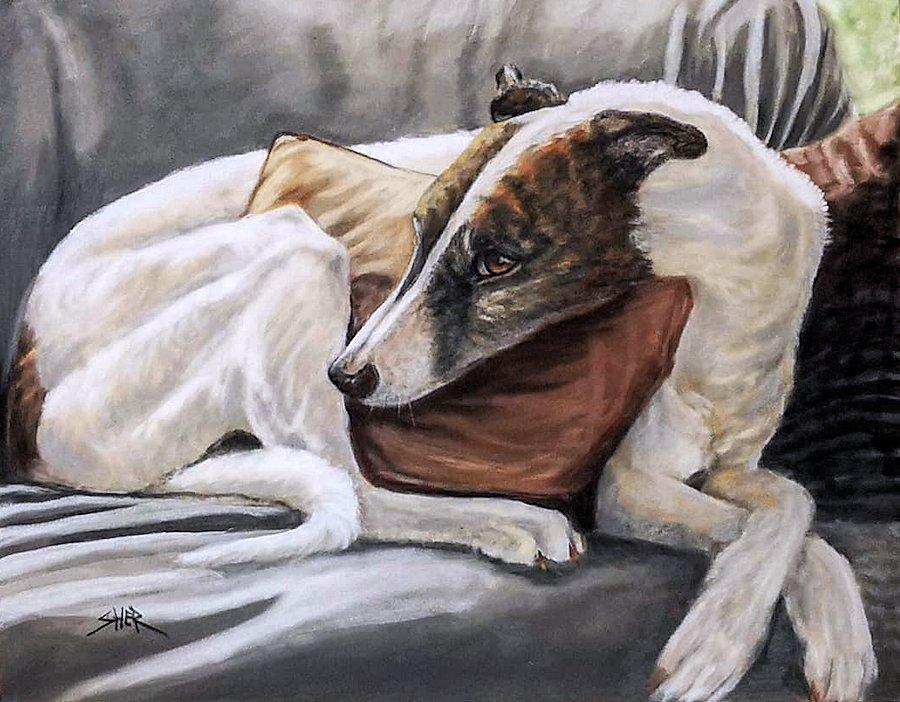 Greyhound Dog Painting by Sheri Gordon