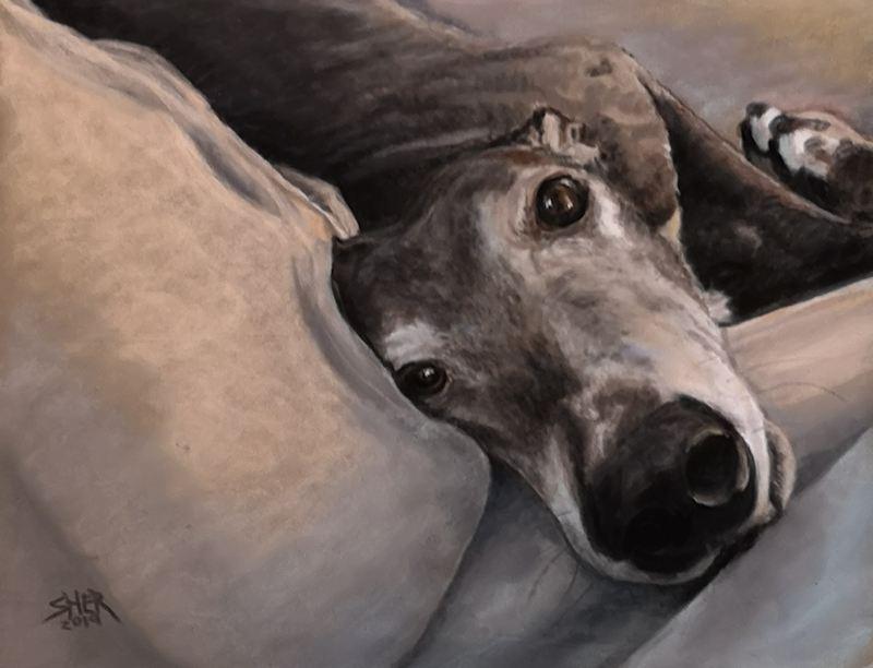 Greyhound Dog Painting by Sheri Gordon