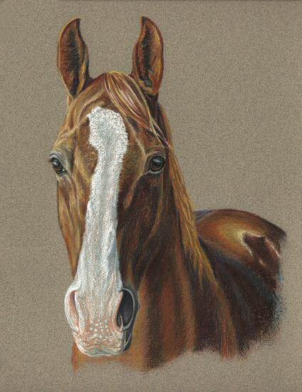 Horse Portrait Painting by Sheri Gordon