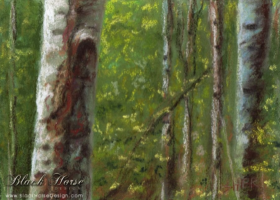 In the Forest - Pastel Painting by Sheri Gordon