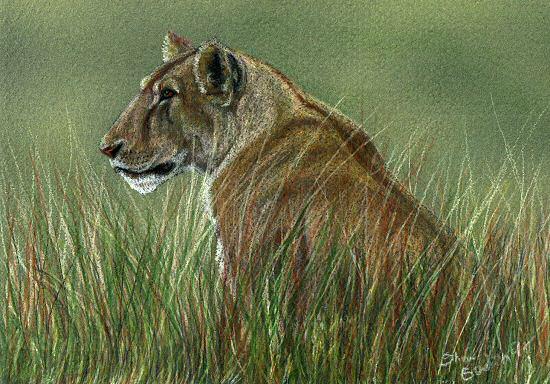 Lion Painting by Sheri Gordon