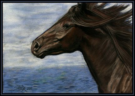 Run Free - Horse Painting by Sheri Gordon