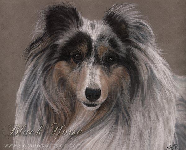 Sheltie Painting by Sheri Gordon
