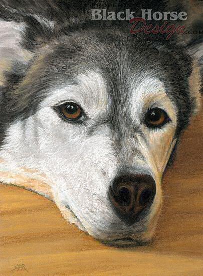 Siberian Husky Dog Painting by Sheri Gordon