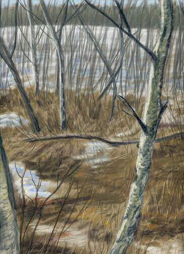 Spring Thaw Painting by Sheri Gordon