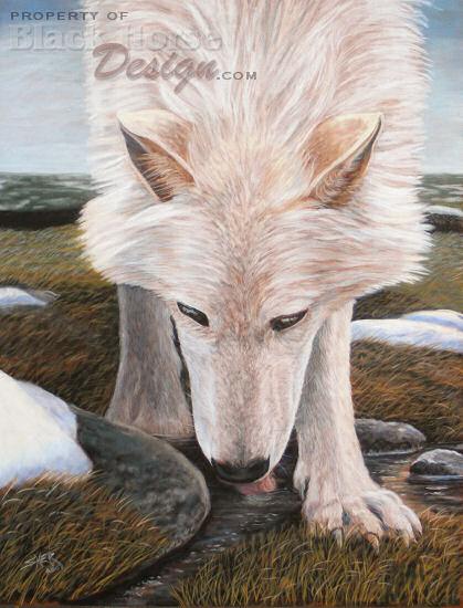 Wolf Painting by Sheri Gordon