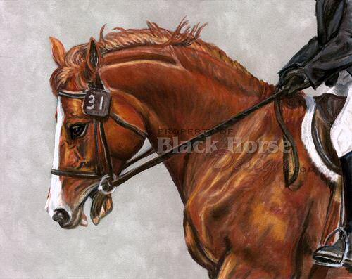Warmblood Horse Painting by Sheri Gordon