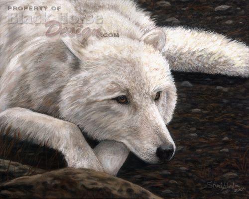 Wolf Painting by Sheri Gordon