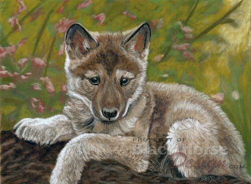 Wolf Painting by Sheri Gordon